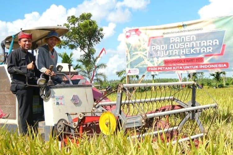Dispertan Banyuwangi Siap Sukseskan Panen Raya Padi Nusantara