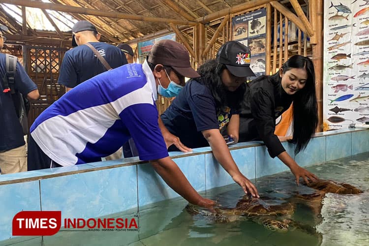 Ingin Mengunjungi Pantai dengan Konservasi Penyu di Banyuwangi, Ini Tempatnya