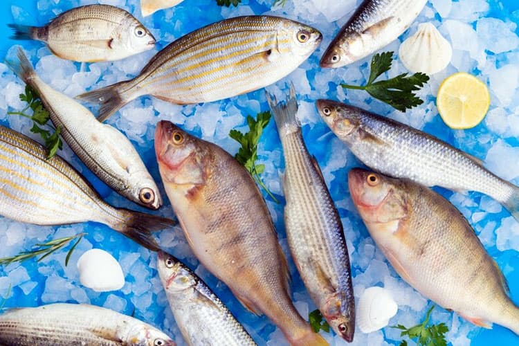 Bisa Jadi Racun, 8 Jenis Ikan Ini Sebaiknya Tidak Dikonsumsi