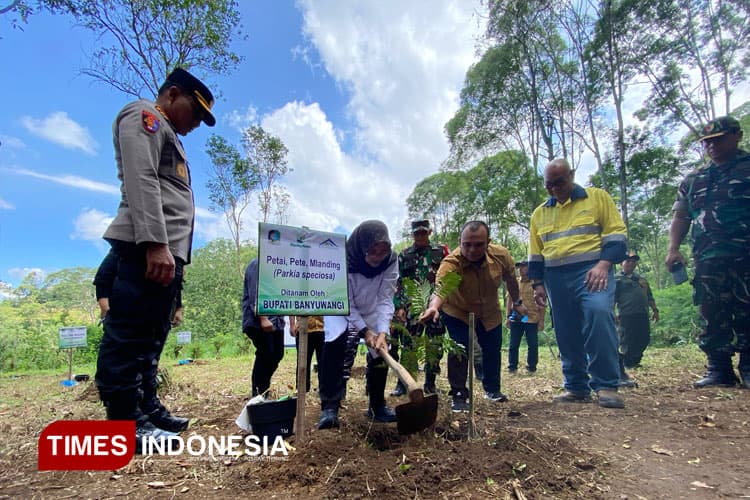 Bupati Banyuwangi Puji PT Bumi Suksesindo, Jadi Inisiator Rehabilitasi Lahan Kritis