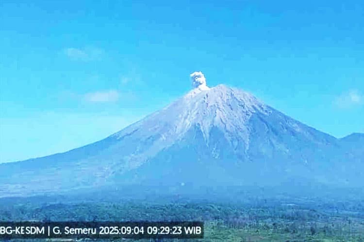 Gunung Semeru Erupsi Lagi, Kolom Abu Capai 500 Meter