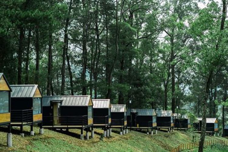 Rekomendasi Glamping Ramah Keluarga di Malang Raya untuk Libur Tahun Baru