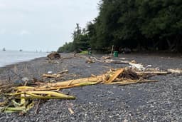 Usai Dibersihkan Lewat Gerakan Banyuwangi Asri, Pantai GWD Kembali Dapat Sampah Kiriman