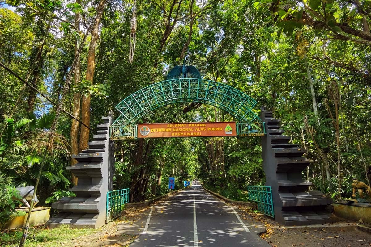 Taman Nasional Alas Purwo Banyuwangi Tutup Saat Lebaran 2026