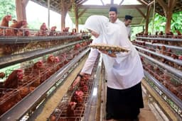 Desa Alasbuluh Banyuwangi Kembangkan Peternakan Ayam Petelur, Perkuat Ketahanan Pangan dan Cegah Stunting
