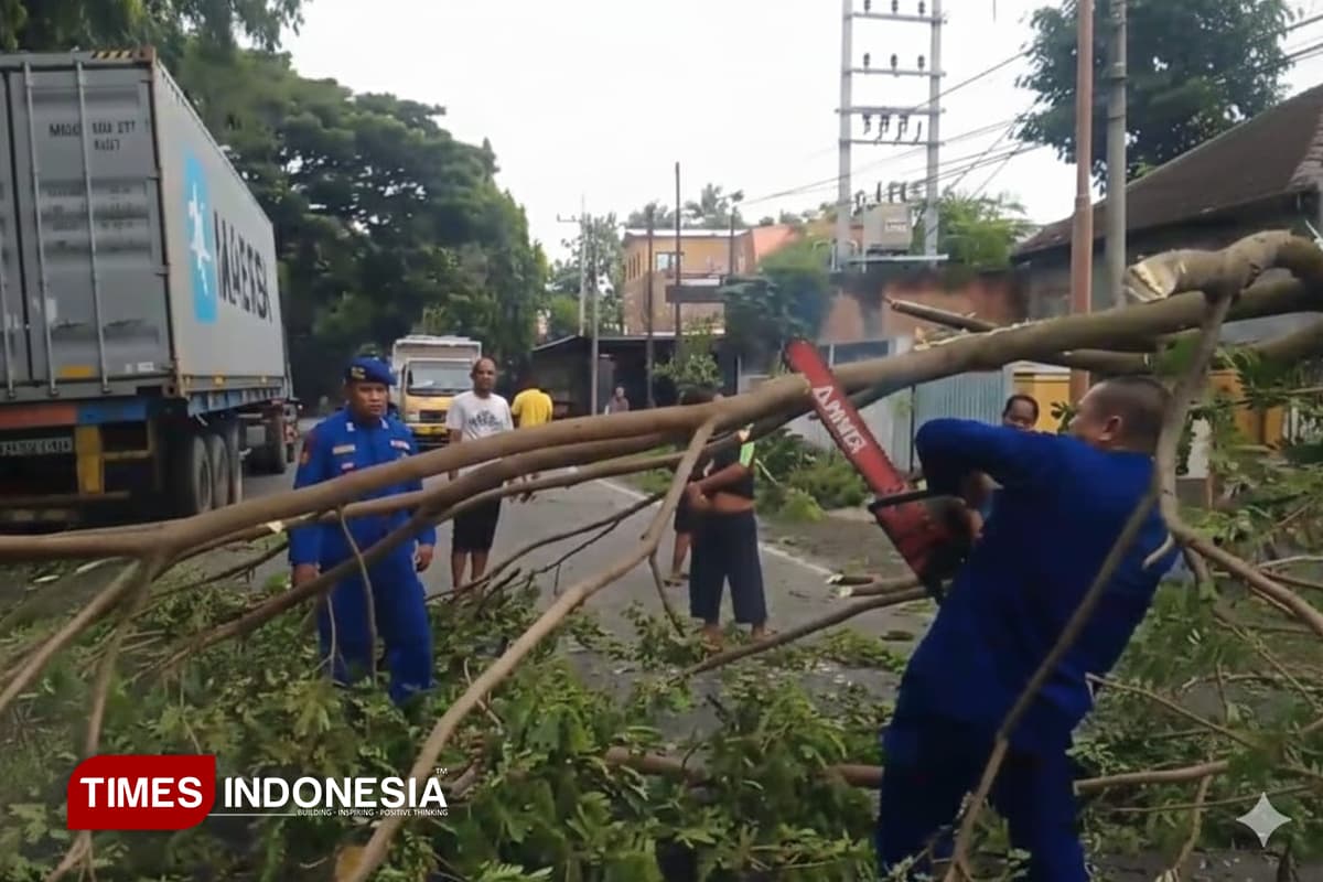 Respons Cepat Satpolairud Polresta Banyuwangi Evakuasi Pohon Tumbang di Jalur Nasional