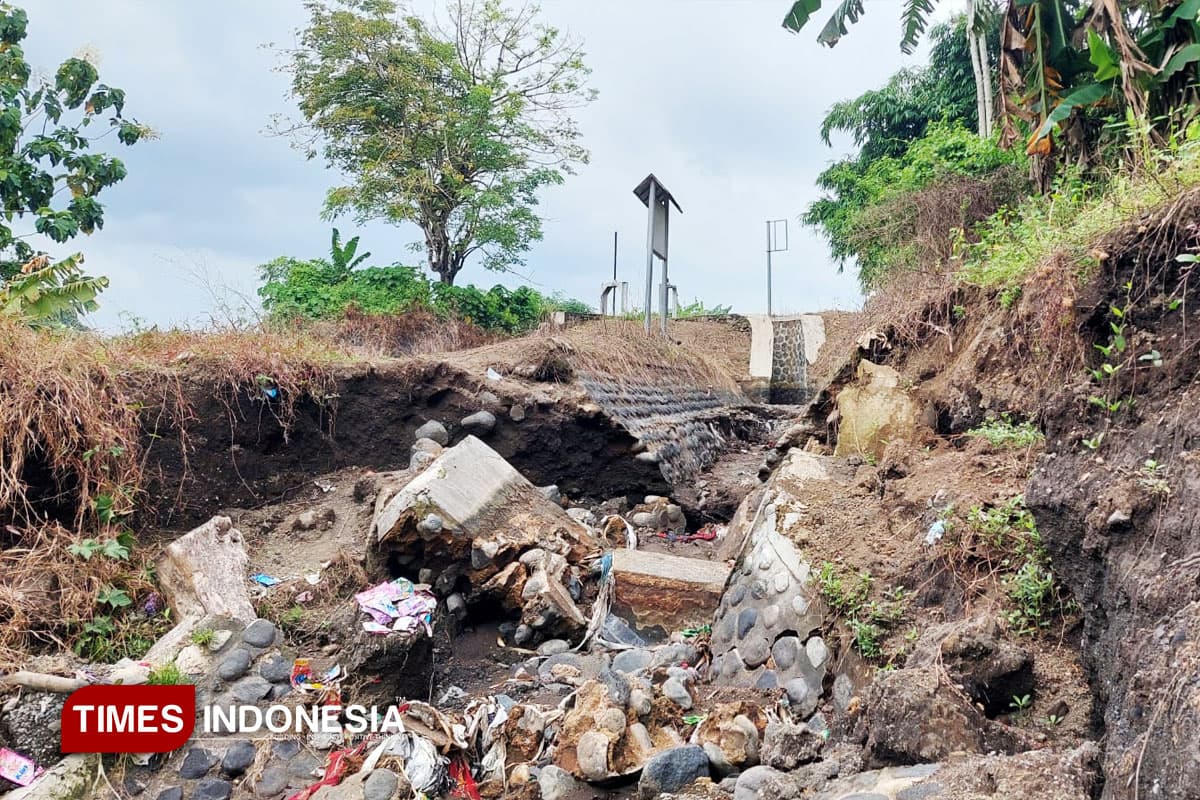 Irigasi Dam di Banyuwangi Ambrol, Petani Terancam Tak Bisa Bercocok Tanam Tak Bisa Bercocok Tanam