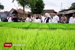 Bupati Banyuwangi Dorong Anak Muda Perkuat Swasembada Pangan Lewat Smart Farming