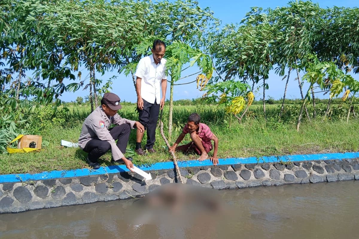 Jasad Perempuan Ditemukan Mengapung di Kanal Dam Puter Purwoharjo Banyuwangi