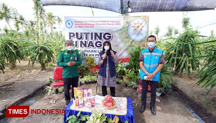 Penggunaan Lampu Buah Naga Banyuwangi Masuk Top 99 Sinovik Kemenpan RB